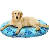KONG Hundespielzeug KONG Safestix M 50 cm Produktbild-Vorschau 11
