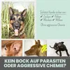 noms+ Zpot-on für Hunde 50ml mit Niem, Geranienöl, Kokosöl Produktbild-Vorschau 4