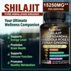 Shilajit, Ashwagandha, Rhodiola Rosea, Panax Ginseng (120 Produktbild-Vorschau 3