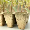 Anzuchtplatte Anzuchttöpfe Saattopf kompostierbar , Produktbild-Vorschau 3