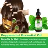 Pfefferminzöl Ätherisches Öl Haaröl Hautöl Massage Aromaöl Produktbild-Vorschau 6