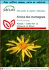 SAFLAX Ensemble-cadeau - Arnica des montagnes - 40 graines Voir les images du produit 1