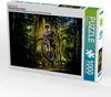 Calvendo Ein Motiv aus dem Kalender Mountainbike Action Produktbild-Vorschau 1