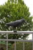 Esschert Design Vogelschreck Krähe; FY18 Produktbild-Vorschau 14