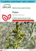 SAFLAX - Zestaw prezentowy - Piołun - 500 Nasiona - Z Podgląd zdjęcia produktu 1