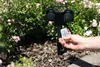 HEITRONIC Dubai mit Fernbedienung Höhe 21 cm schwarz 2-fach Produktbild-Vorschau 8