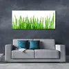 Acrylglasbilder 125x50 Wandbild Druck Gras Pflanzen Produktbild-Vorschau 3