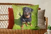 MuchoWow® Zierkissen Sofakissen Wohnzimmer Dekokissen 60x60 Produktbild-Vorschau 5