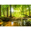 Wald 9141a RUNA Wald VLIES FOTOTAPETE XXL DEKORATION Produktbild-Vorschau 1