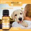 Hello Animal® Wurm Kügelchen - Wurmmittel Hund - Εntwurmеn Produktbild-Vorschau 6