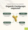 Cordyceps Kapseln 500 mg Produktbild-Vorschau 3