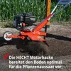 HECHT 746 R Motorhacke Benzin | 60cm Arbeitsbreite | 3,7 PS Produktbild-Vorschau 7