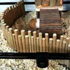 Hamster Kletterbrücke aus Holz,Mehrzweck Zaun als Produktbild-Vorschau 6