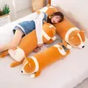 Corgi Dog Big Giant Squishmallow Plüschtier Kuscheltier Produktbild-Vorschau 4