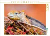 CALVENDO Puzzle Landleguan 1000 Teile Puzzle quer | 1000 Produktbild-Vorschau 2