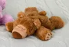 Warmies® Sleepy Bear marrone Anteprima dell’immagine prodotto 5