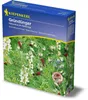Gründünger Hülsenfrüchtegemenge Kiepenkerl 1 kg Produktbild-Vorschau 2