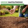 Wildblumenmischung - 100 g Samen für Wildblumenwiese - Produktbild-Vorschau 7