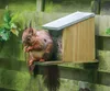 Esschert Design Eichhörnchen Futterhaus; WA09 Produktbild-Vorschau 13