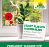 Neudorff Permanent FliegenStopp 4 St. Fliegen zuverlässig Produktbild-Vorschau 7