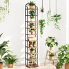 A tall, narrow plant stand filled with various potted plants, placed against a white wall with sunlight casting shadows. Produktbild-Vorschau