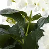 Sztuczna roślina Mica Decorations Hydrangea - H45 x Ø45 cm Podgląd zdjęcia produktu 11
