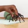 Schleich, Mundo Mágico, Aragog. Código: 13987 Vista previa de la imagen del producto 10