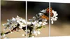 Glasschutzplatte für Herd 3x30x52 Produktbild-Vorschau 1