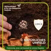 Schildkrötenerde 40 l – Erde für Landschildkröten Produktbild-Vorschau 2