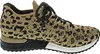 A side view of a single leopard-print sneaker with gold stud accents. Anteprima dell’immagine prodotto