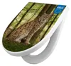 WC Sitz mit Absenkautomatik D Form Motiv Luchs [TDW3 10487] Produktbild-Vorschau 1