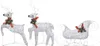 vidaXL Weihnachtsdeko Rentier & Schlitten 60 LEDs Outdoor Produktbild-Vorschau 4