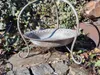 Shabby Chic Dekoschale mit Fuß Produktbild-Vorschau 4