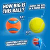 Chuckit Bucket avec Ultra Ball M 8pcs Voir les images du produit 9