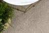A close-up view of a carpet with a plant and part of a coffee table. Náhled obrázku produktu