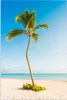 MuchoWow® Poster Eine einsame Palme am Strand 20x30 cm - Produktbild-Vorschau 1
