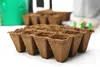 Seedling trays filled with soil, ready for planting. Produktbild-Vorschau