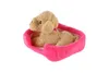 Pet in the bed peluche 4 colori 22x24cm 24m+ Anteprima dell’immagine prodotto 14