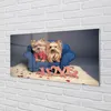 Glasbilder 140x70 Wandkunst Yorkie Produktbild-Vorschau 2
