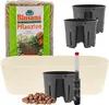 Leni Flori Jardiniere Blumentopf länglich 36 cm panna / Produktbild-Vorschau 1