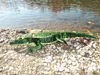 Krokodil Soft Touch, 60cm Voir les images du produit 6
