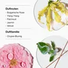 Clinique Aromatics Elixir, Ženy, 10 ml, Nádoba na jedno Náhľad obrázku produktu 4