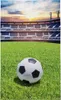 Handtuch 30x50 für Kindergarten, Fußballplatz, 100% Produktbild-Vorschau 1