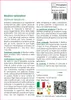 SAFLAX  - Basilico tailandese - 200 semi - Ocimum Anteprima dell’immagine prodotto 3