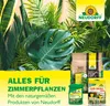 Neudorff Spruzit TrauermückenFrei 30 ml Produktbild-Vorschau 8