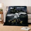 Harry Potter Kuscheldecke XL für Kinder und Erwachsene Produktbild-Vorschau 6