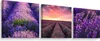 Leinwand Bilder Set 3 Bilder LAVENDEL Lavendelfeld Natur 3D Produktbild-Vorschau 1