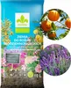 Erde für Oleander - 10l - Mediterran - Hochwertig - Gute Produktbild-Vorschau 7