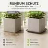 Pflanztopfuntersetzer Jana Anthrazit 34 x 34 cm - Produktbild-Vorschau 6