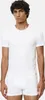 Marc O'Polo Crew Neck Top 2P Essentials Organic Baumwolle Produktbild-Vorschau 11